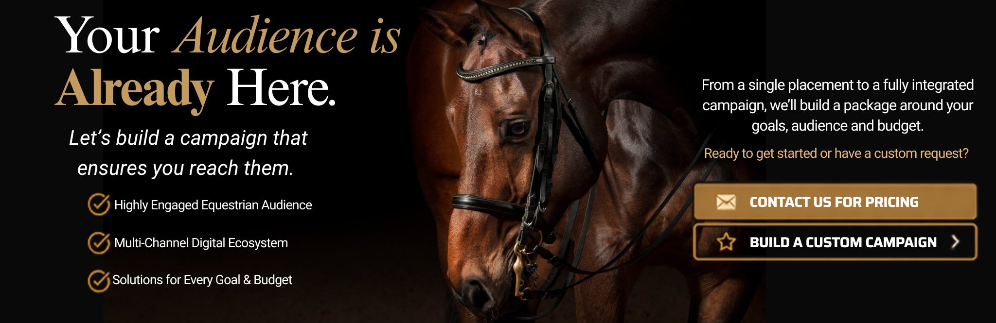 Your audience is already here. Build a custom Elite Equine advertising campaign.
