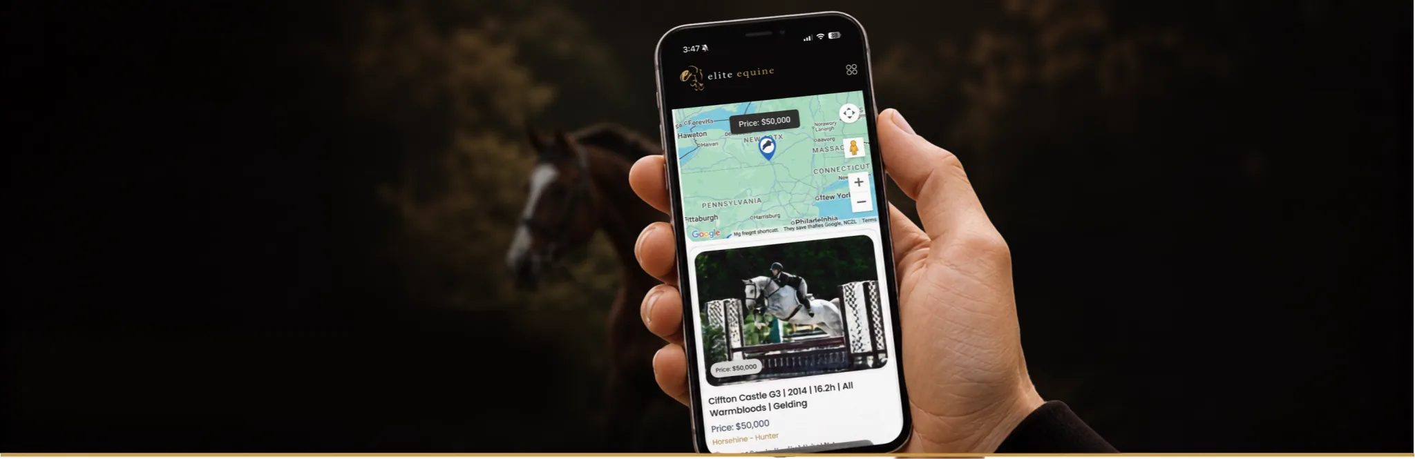 Elite Equine Marketplace app shown on a phone