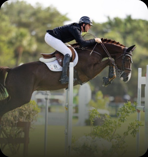 Rider jumping a horse over a rail at a show