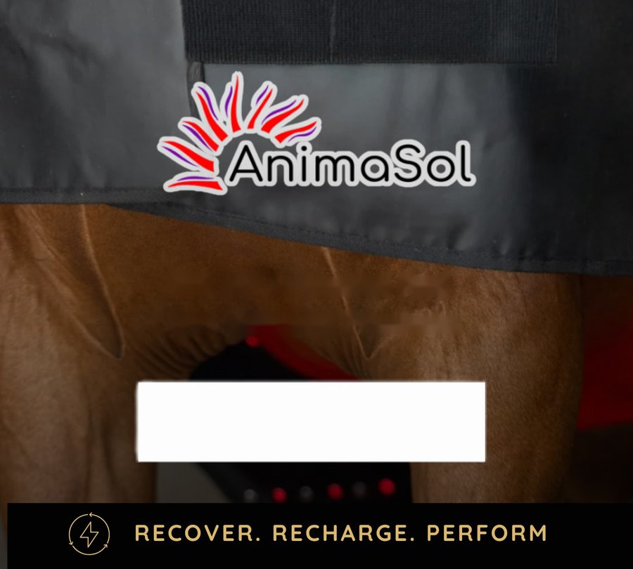 AnimaSol red light therapy products