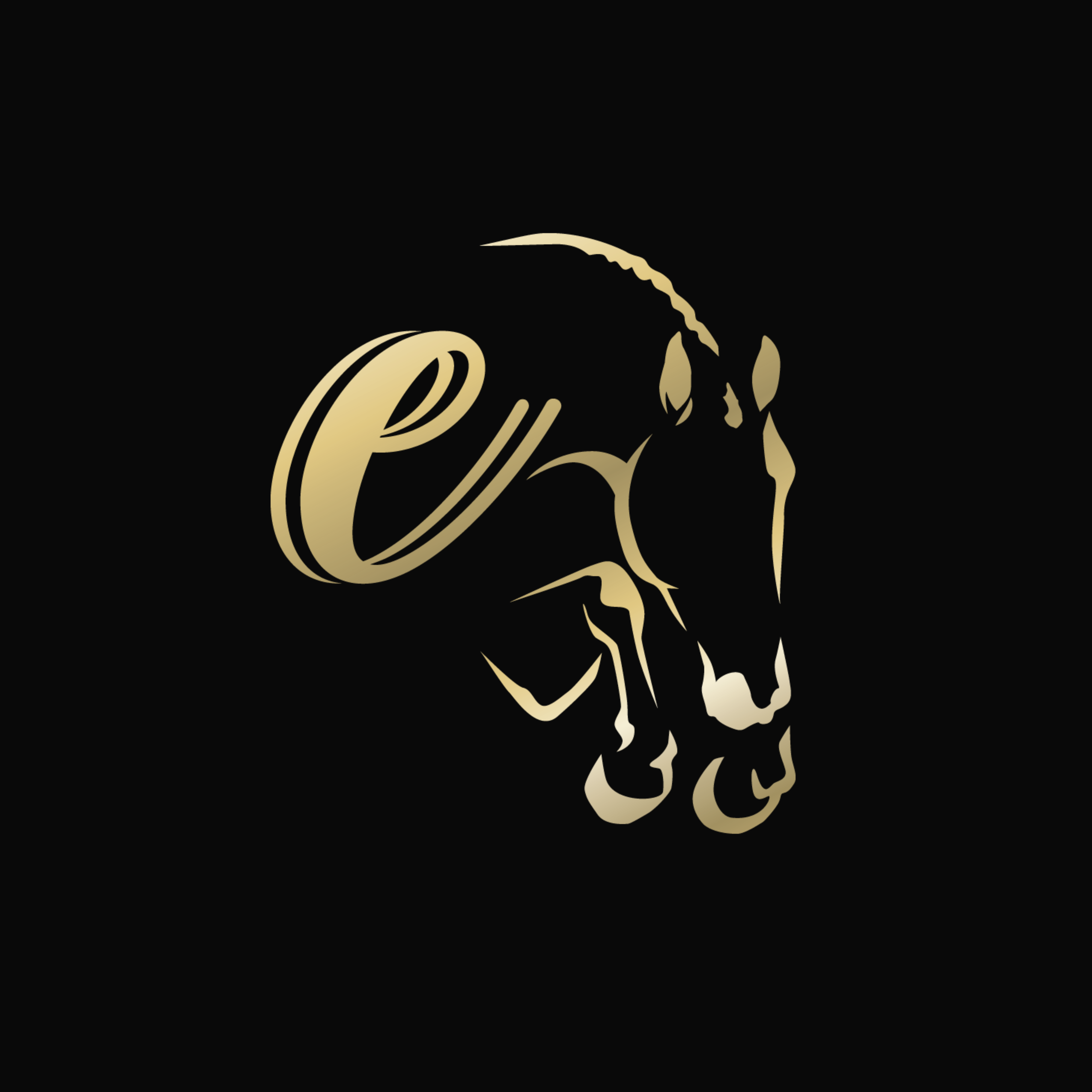 CSS Unchaperoned | 2020 | 16.2h | Dutch Warmblood | Gelding