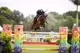 Elite Equine
