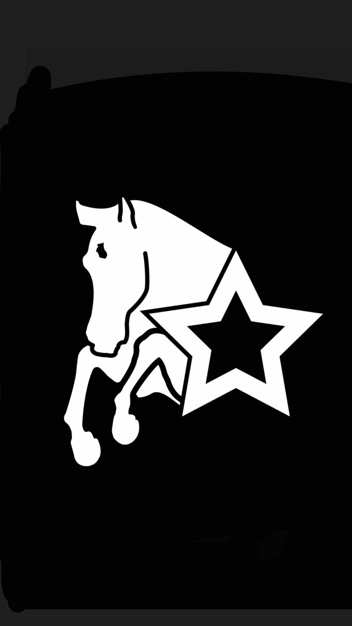 Bay Star Sporthorses LLC