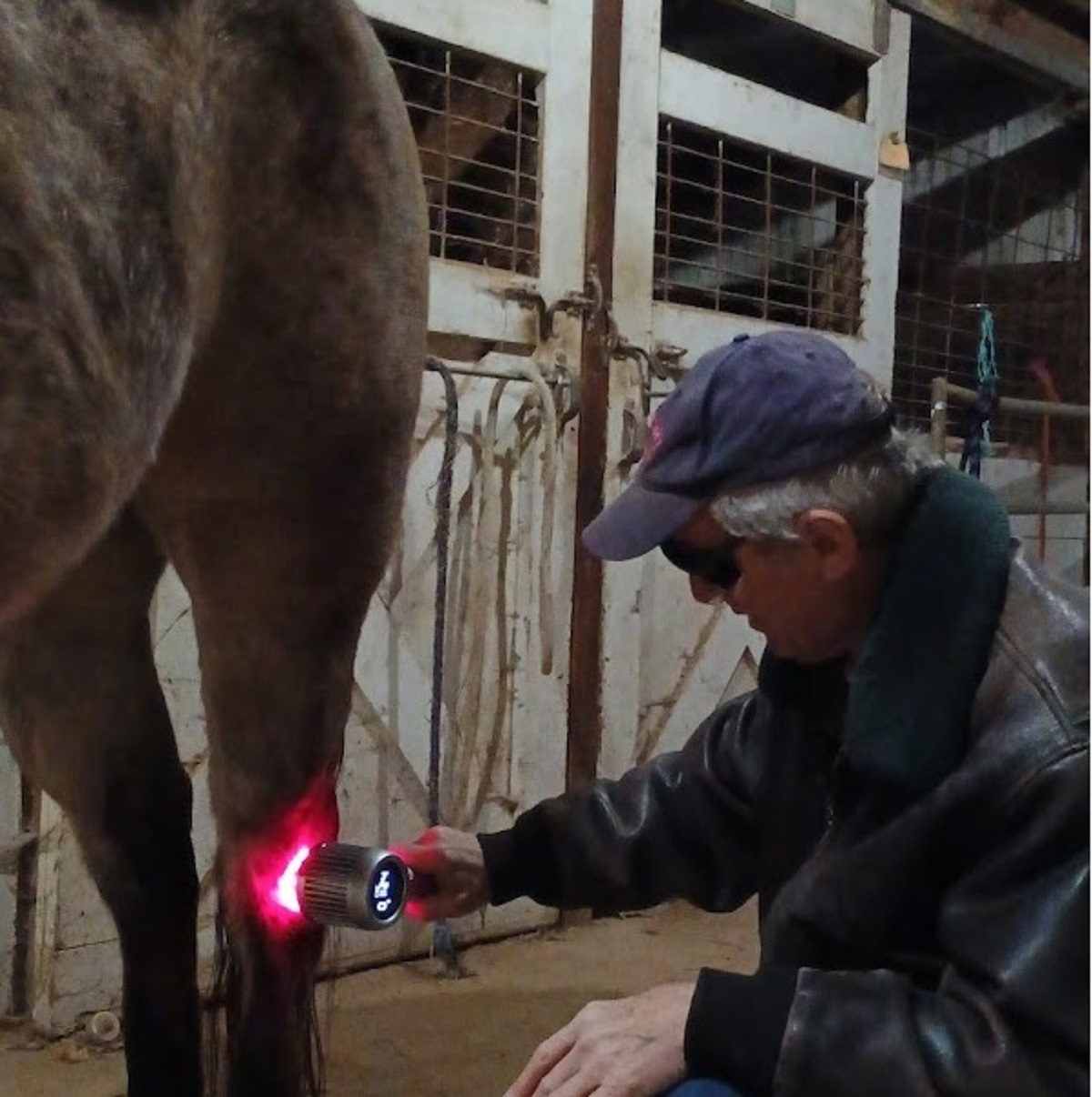 Vetrolaser LLC