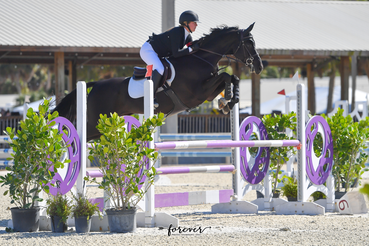 Levitz Equestrian Ventures