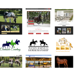Equine Web Designer
