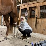 Quaker Swamp PEMF, Equine PEMF Services in Virginia.