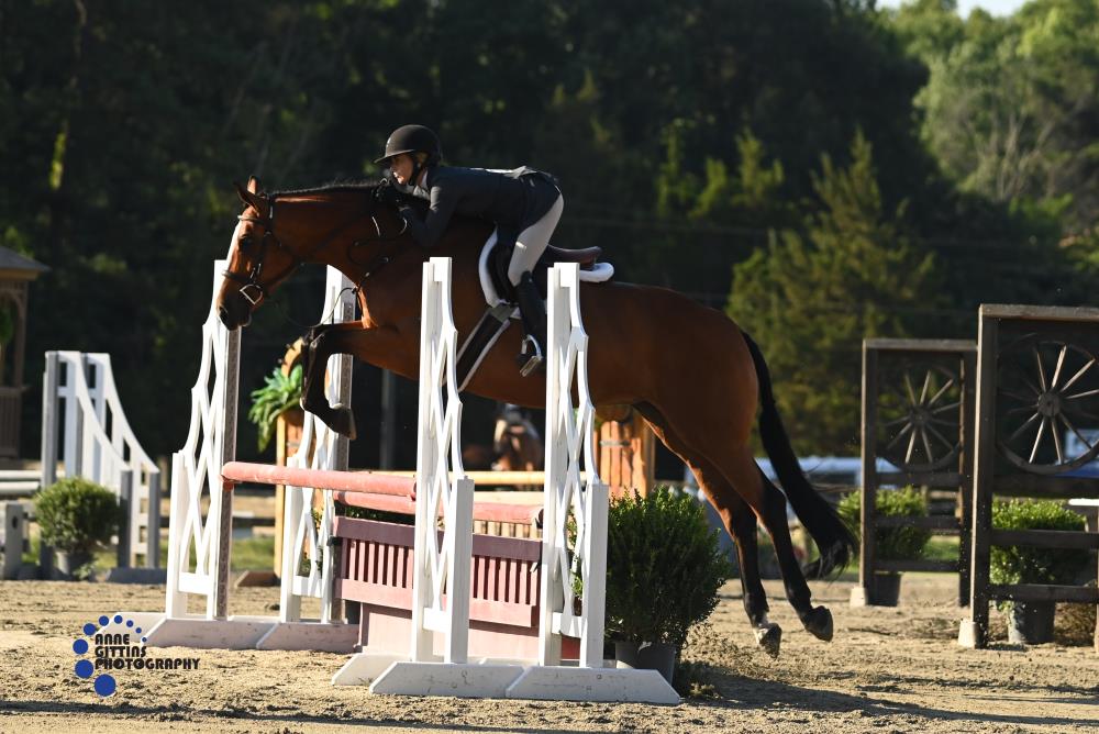 Hunter Jumper Horses For Sale on Elite Equine.