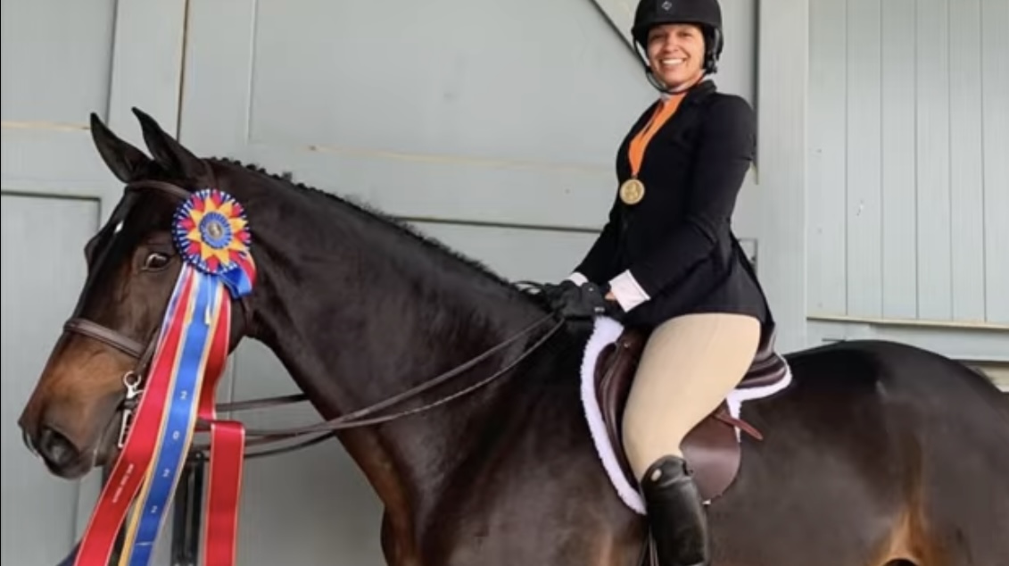 Constantin | 10Yo 17.1h Holsteiner Gelding | Hunter, Equitation Horse For Sale or Lease